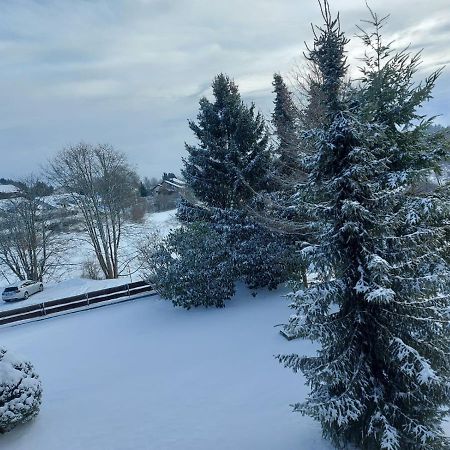 Schöne FeWo mit Balkon und toller Aussicht Höchenschwand Exterior foto