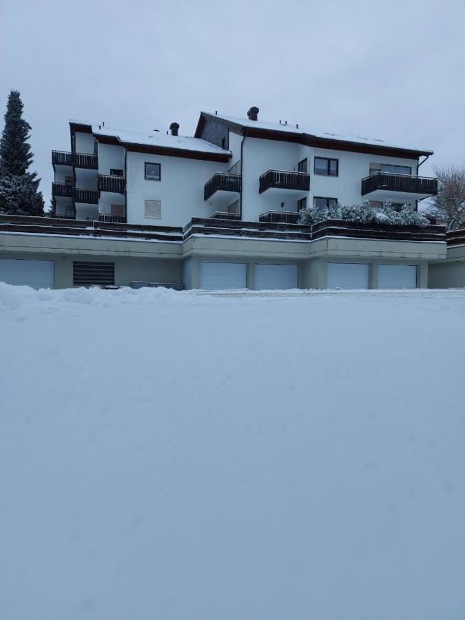 Schöne FeWo mit Balkon und toller Aussicht Höchenschwand Exterior foto